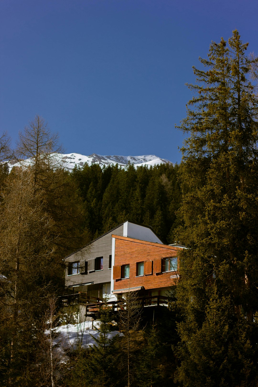 Deluxe Mountain View Suite
